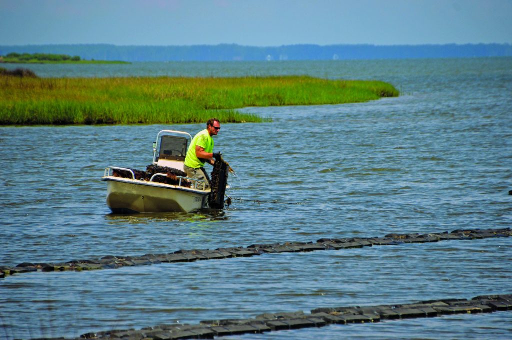 The Virginia Oyster Trail TrailBlazer Magazine