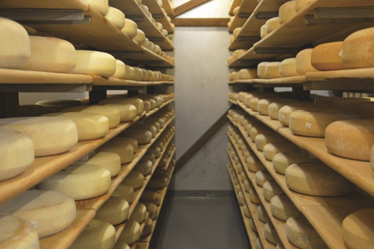 On the Trail for Finger Lakes Cheese TrailBlazer Magazine