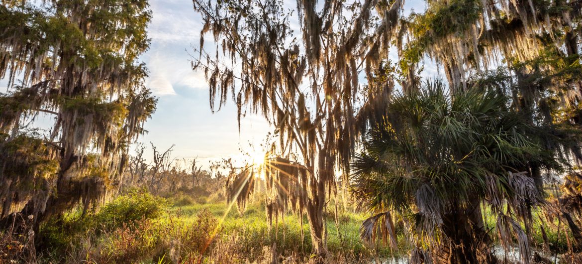 how long does cs demand work outdoors in florida