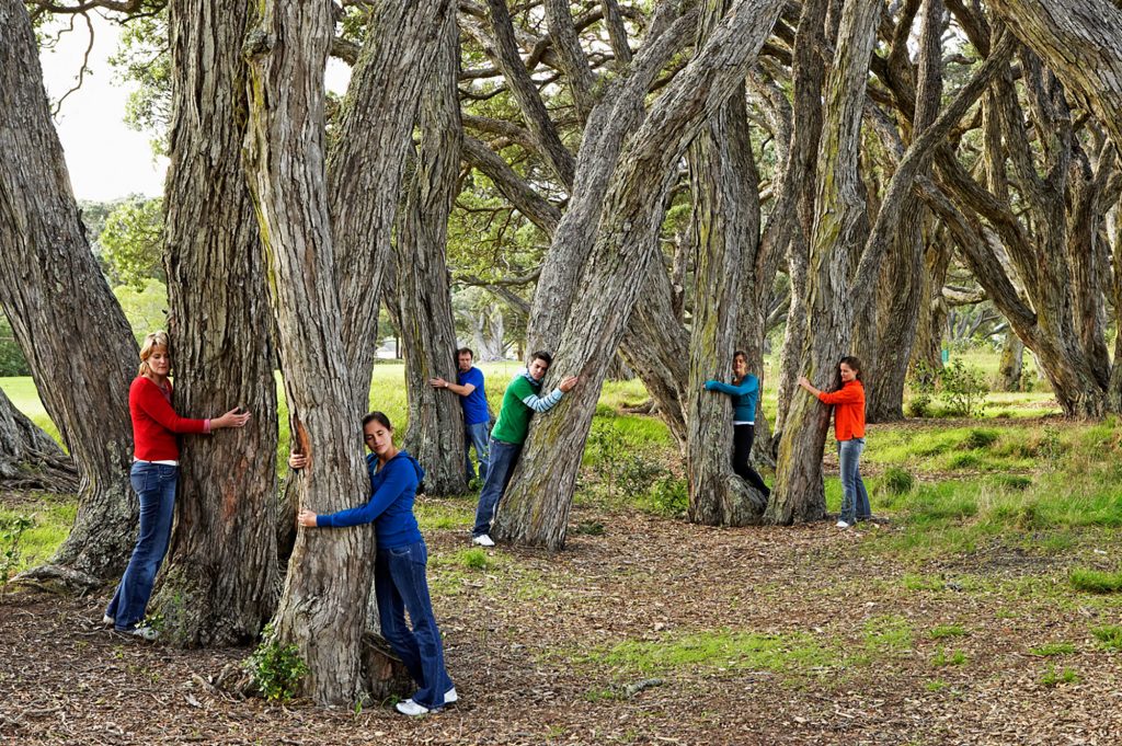 Out N’About: Attempt to Beat the Guinness World Record for Largest Tree Hug in Lynchburg, VA!