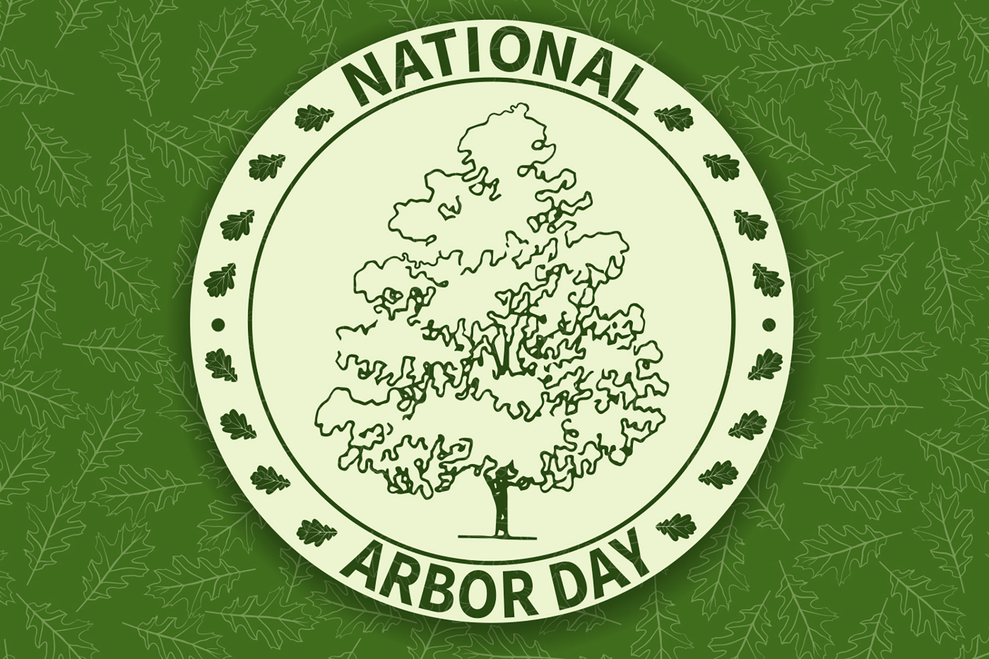 Honor the Trees on April 27 Celebrate Arbor Day! TrailBlazer Magazine
