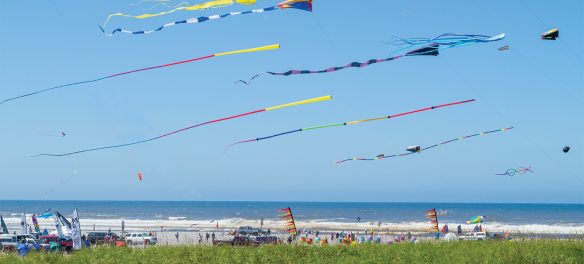 Pacific Northwest Kite Festivals