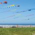 Pacific Northwest Kite Festivals