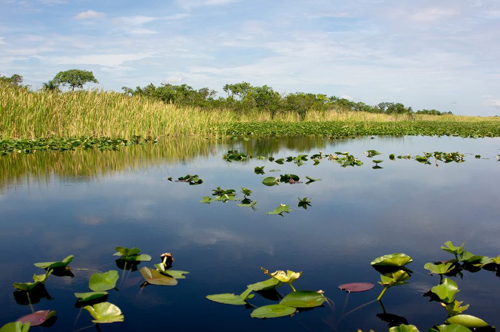 Florida Everglades, Florida