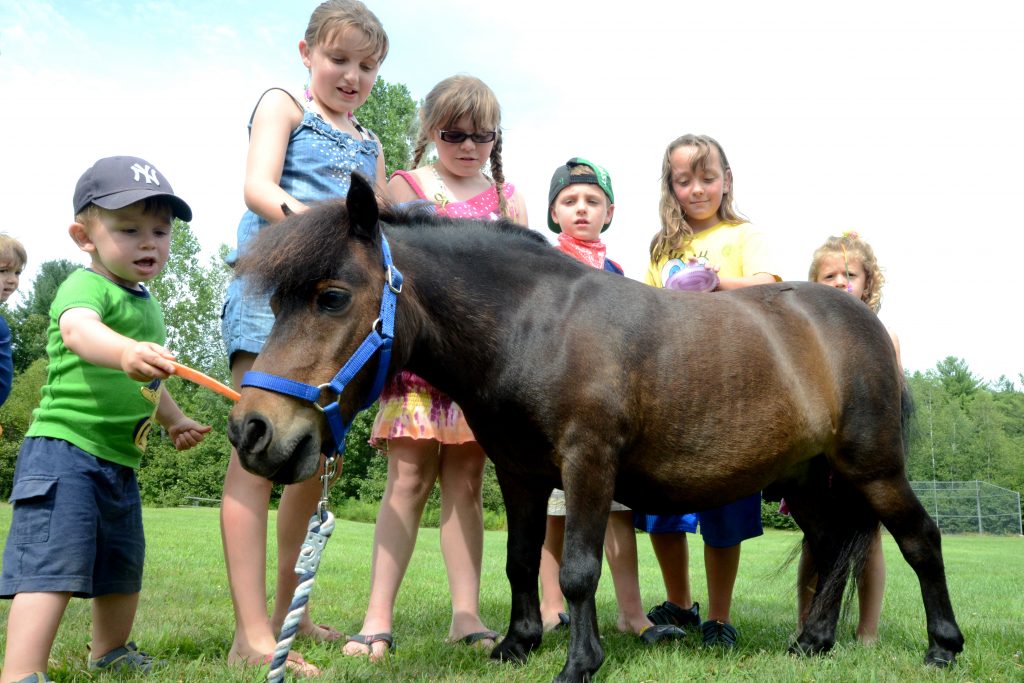 Children petting a pony