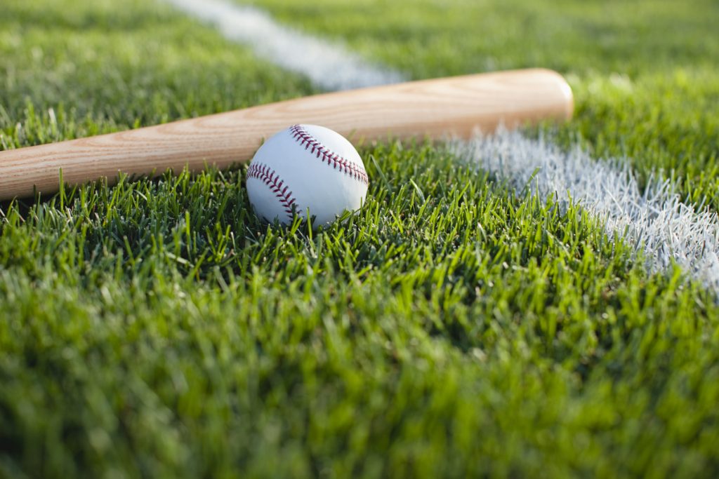 Wooden baseball bat and baseball in grass